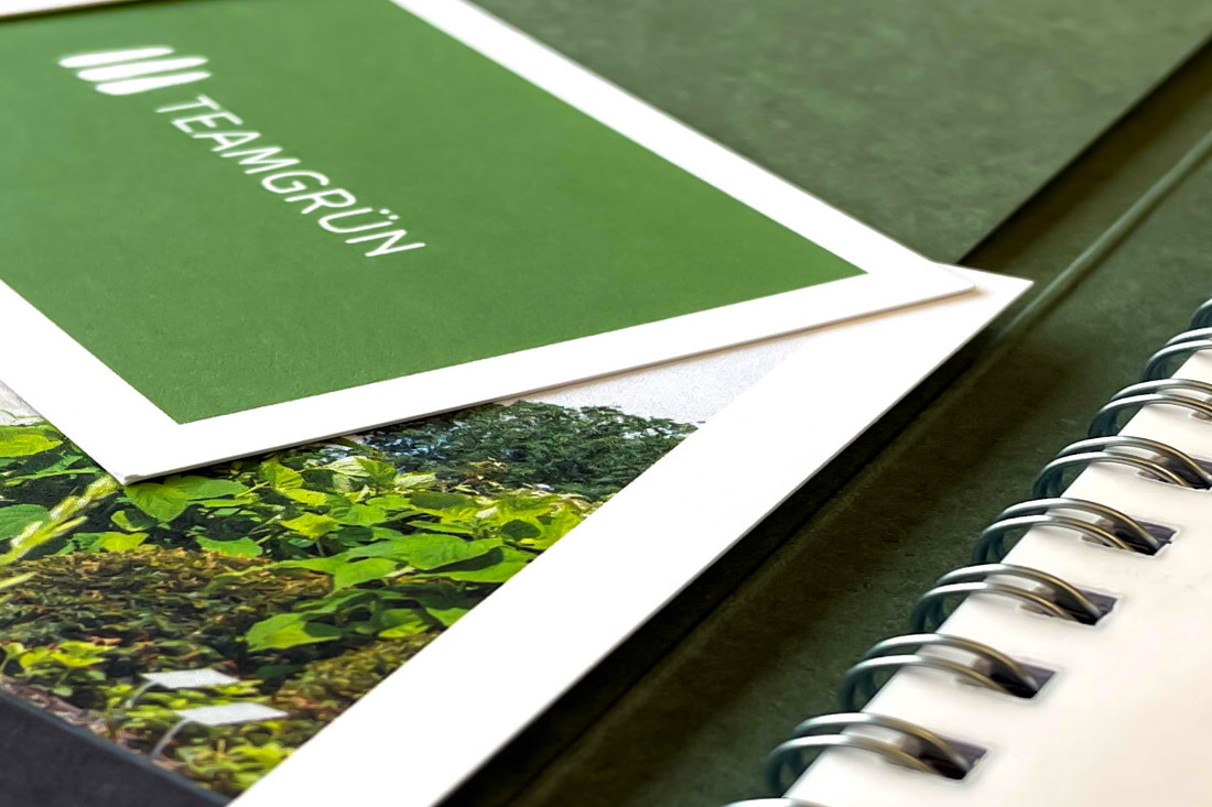 Grüne Mappe und Spiralblock mit Pflanzenfoto, Branding-Materialien